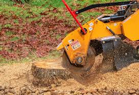 Best Stump Grinding and Removal  in Spanish Fork, UT